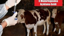 Balıkesir’de Şap Alarmında Son Durum!