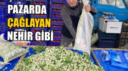 Çağla Pazarda Çağlayan nehir gibi