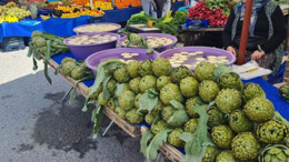 Edremit’te Yaz Sebzeleri, Pazar Tezgahlarında Yerini Aldı