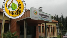 Orman Bölge’de İşe Alım Süreci İlerliyor