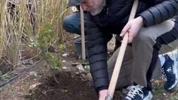 Hüsnü Şenlendirici Bal Ormanına Fidan Dikti