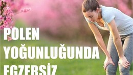 Polen Mevsiminde Egzersiz İçin İpuçları