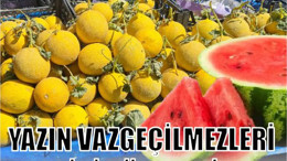 Edremit'te Kavun ve Karpuz Mevsimi Başladı