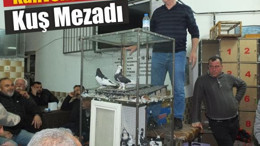 Satış Yok, Takas Var! Burhaniye’de Kuş Mezadı