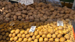 Balıkesir Pazarı’nda Patates Fiyatları