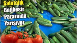 Domatesle Salatalık Balıkesir Pazarında Yarışıyor