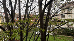 Balıkesir'de Yağmur