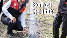 Balıkesir’de Zirai Don Sonrası İlk Değerlendirme