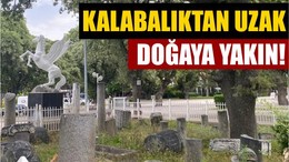 Şehirden Uzak, Huzura Yakın: Balıkesir’den Ören’e Kaçış
