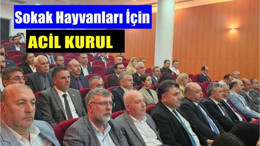 Sokak Hayvanları İçin Acil Kurul