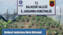 Balıkesir Jandarması Nefes Aldırmadı!