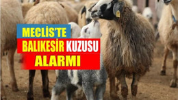 Meclis’te Balıkesir Kuzusu Alarmı!