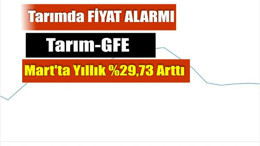 Tarımsal girdi fiyat endeksi (Tarım-GFE) yıllık %29,73 arttı, aylık %1,80 arttı