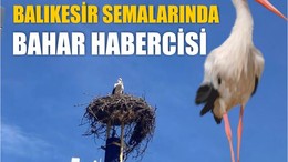 Göç Mevsiminde Balıkesir’i Tercih Ettiler
