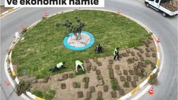 Büyükşehir Belediyesi ürettiği çimleri kullanıyor