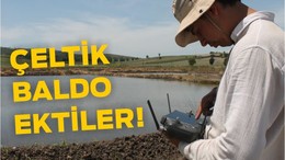Balıkesir’de Çeltikte Baldo Çeşidi Ön Planda