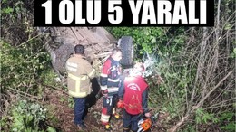 Edremit Kalkım Yolunda Feci Kaza!