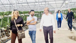 Balıkesir’de Modern Tarımın Örnek Serası Edremit'te
