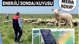 Balıkesir'de Unutulmuş Meralar Geri Dönüyor