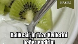 Balıkesir'de Serinleten Tat: Kivili Yoğurtlu Kup Tarifi