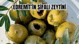 Sabah Aç Karnına Zeytin Yemenin 6 Şaşırtıcı Faydası