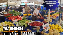 Yaz Meyveleri Tezgahlarda Yerini Aldı