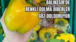 Balıkesir'de Her Renk Biberin Kendine Has Özelliği Var