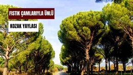 Yazın Sıcaktan Kaçış Noktası: Kozak Yaylası
