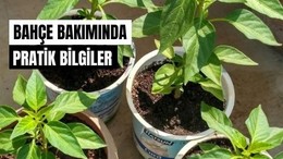 Balıkesir'de Mayıs Ayı Bahçe Bakımı