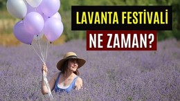 Balıkesir Lavanta Festivali Ne Zaman?