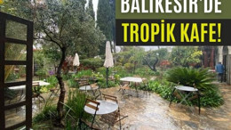 Balıkesir'de Bu Kafede 65 Bitki Türü Saklı!