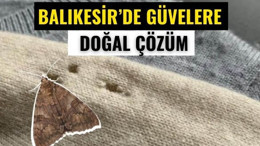 Balıkesir'de Güveleri Doğal Yöntemle Kovun