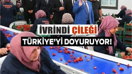 İvrindi Çileği, Balıkesir Tarımına Katkı Sağlıyor!