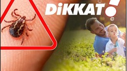 Keneye Dikkat! Isınan Havalarla Tehlike Geri Döndü