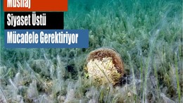 Müsilaj Siyaset Üstü Mücadele Gerektiriyor