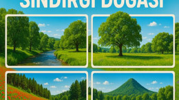 Doğal ve Kültürel Zenginliğiyle Sındırgı