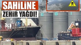 Balıkesir Sahiline Zehir Yağdı!