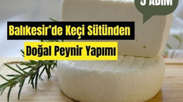 Balıkesir'de Keçi Sütünden Peynir Yapımı