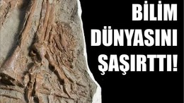 Bilim Tarihinde Bir İlk! 70 Yıllık Tümör