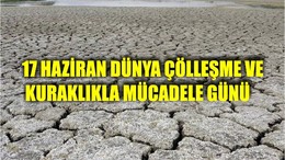 17 Haziran Dünya Çölleşme ve Kuraklıkla Mücadele Günü