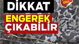 Balıkesir'de Engerek Alarmı