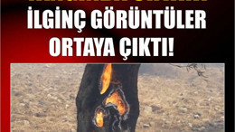 Çöplük Yangınında İlginç Görüntüler!