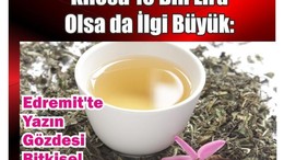 10 Bin Liralık Bitki Yok Satıyor!