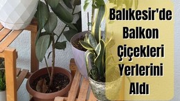 Yazın Renkleri Balıkesir Balkonlarında
