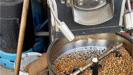 Balıkesir’de Kahve Ağacı Üretimi