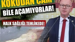 Vekil Sarı’dan Zehir Akan Dereye Tepki