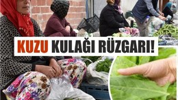Köyden Sofraya Doğal Lezzet Kuzu Kulağı