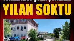 Savaştepe'de Tarlada Yılan Şoku! Hastanelik Oldu