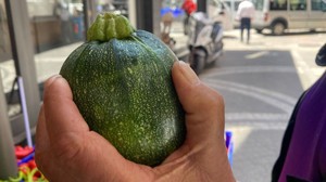 Dolmalık Kabaklar Manav Tezgâhlarında Yerini Aldı!