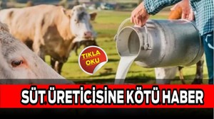 Süt ve Et Üreticisine Kötü Haber: Girdi Fiyatları Tırmanıyor!